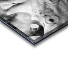 Face to face Acrylic print