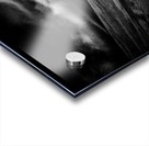 marram grass Acrylic print