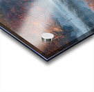 River Brathay Acrylic print