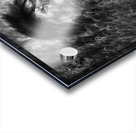 Immortal Acrylic print