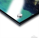 Bird20 Acrylic print