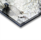 Bird17 Acrylic print