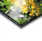 Flower35 Acrylic print