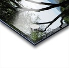 Landscape1 Acrylic print