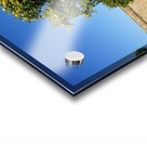 Montjuïc Orange Tree Acrylic print