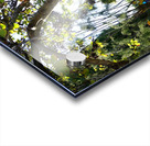 Montjuïc Garden Acrylic print