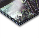 Pathway Acrylic print