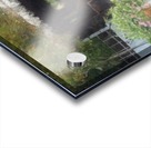 Thatch Roof Gazebo Rancho Los Alamitos Gardens Acrylic print