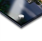 City view through the branches Acrylic print