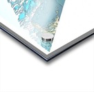 A2250C0C 1FD0 4204 88FE 8DA3D85E6556 Acrylic print