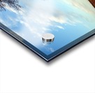 The Shubenacadie Tree Acrylic print