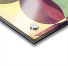 Middle Ground Acrylic print