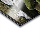 JPT 887F 2 Acrylic print