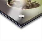 JPT 5591SA Impression Acrylique