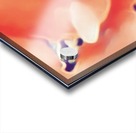  Desires in Peach Acrylic print