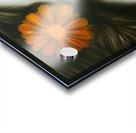 sun flower beauty Acrylic print