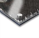 AJTheCall.gif Acrylic print