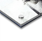 Playful white lion cubs Acrylic print