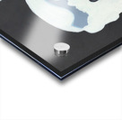 Francesco Acrylic print