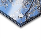 Lovely feelings Acrylic print