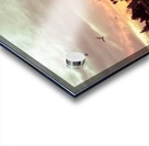 20190212 IMG_3260 Acrylic print