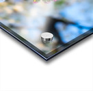 20190329 DSC_0302 Acrylic print