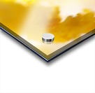 IMG_4012 Acrylic print