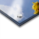 High Above  Acrylic print