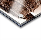 Grape Baskets Acrylic print