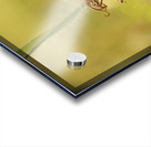 Seedless Time  Acrylic print