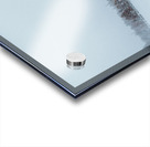 Snowstorm Acrylic print