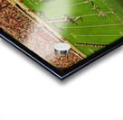 vintage texas tech football marching band art Acrylic print