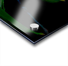 Dogwood Perfection Acrylic print