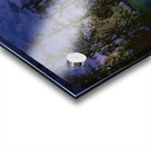 Louisiana Line of Trees Winter Wanderings Acrylic print