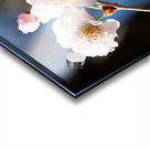 Spring Shogetsu 4 Acrylic print