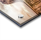 Reine Winter High Water Acrylic print