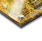 Fall Drive Near Guelph Acrylic print