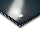 Moonlit Pines Acrylic print