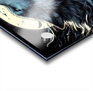 Howling Wolf 1 Acrylic print