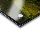 Moraine Stream Wildflower Display Acrylic print