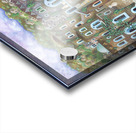 2001 02 Acrylic print