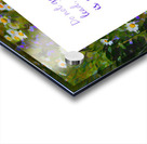 Go Not Where There is a Path Acrylic print