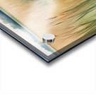 Reeds2 Acrylic print