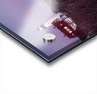 Maine Portland Cape Elizabeth Lighthouse Sunset 3 Acrylic print