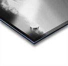 The Guide - Black and White Acrylic print