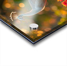 White Beauty Peacock Acrylic print