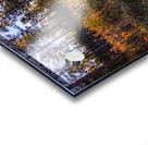 Woodland Marsh Sunset Winter Glow Acrylic print