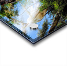 THE EGRET FAMILY Acrylic print