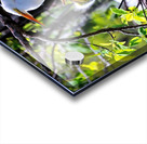 FRAMED BY NATURE Acrylic print