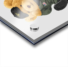 7164004 Acrylic print